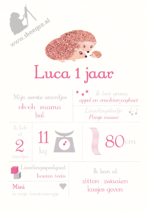 Mijlpalenposter